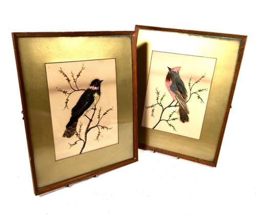 Antique Victorian Watercolour & Bird Feather Painting Picture Pair / Taxidermy
